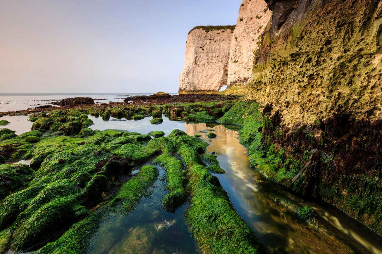 The bottom of the cliffs at Handfast Point on a very low tide.