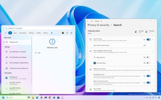 Windows 11 desktop showing Windows Search without web results and the Settings app on the right.
