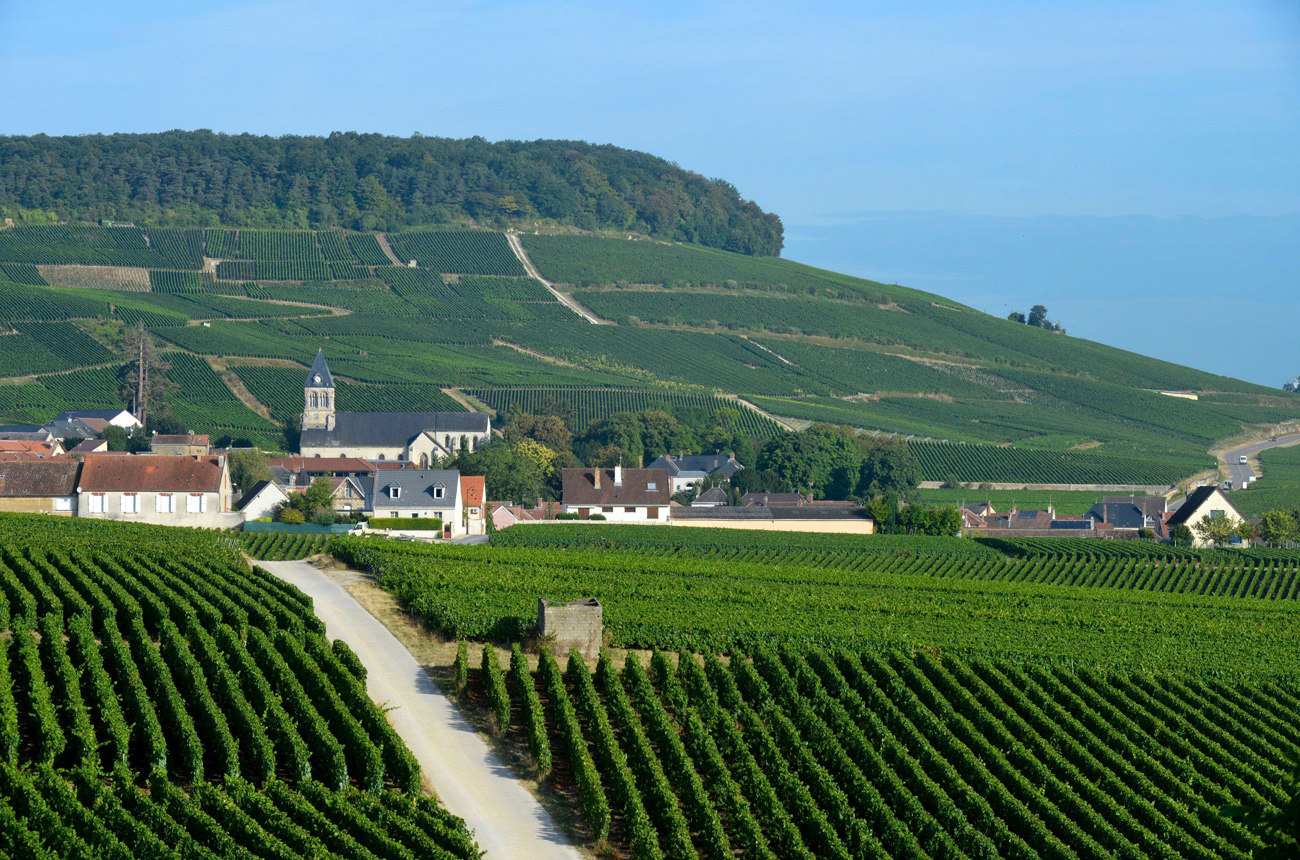 Introducing Coteaux Champenois