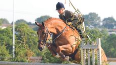 Louise Bell and Cruise Control in the lightweight working hunter champions at RIHS 2008