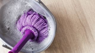 Purple mop in bucket of water