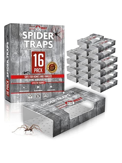 Spider Traps for Inside Your Home (16 Traps) - Spider Catcher&nbsp;