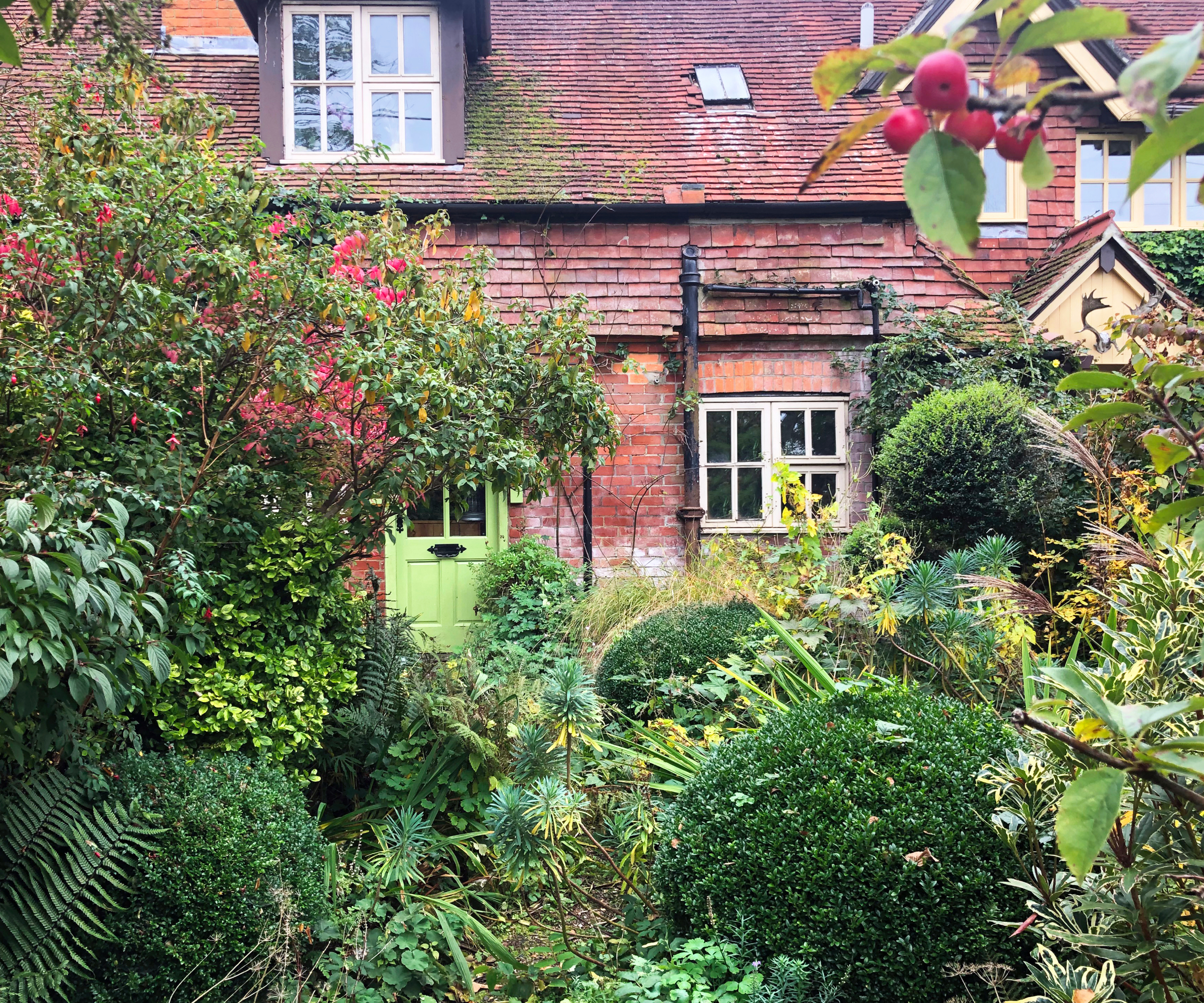 overgrown front garden with cottage in background