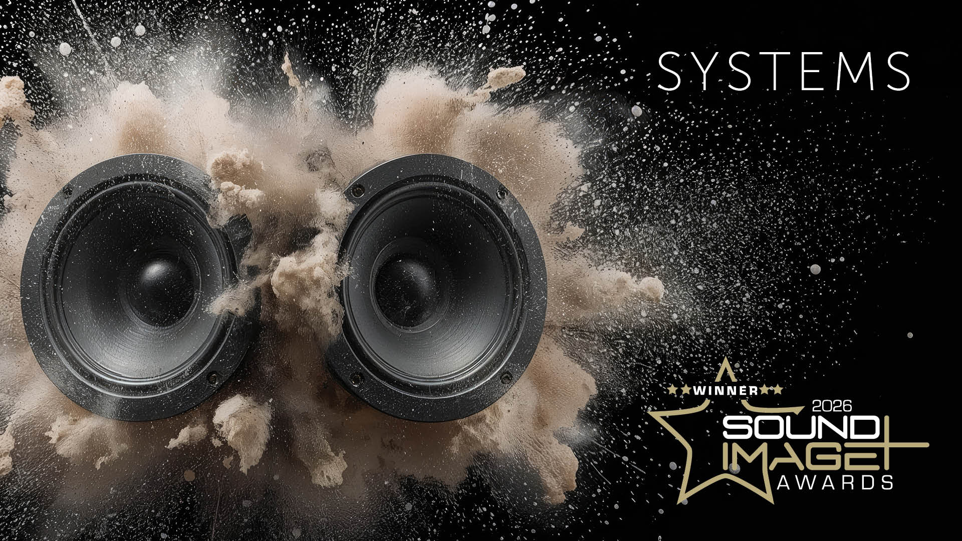 Sound+Image Awards categories