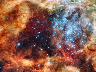 This massive, young stellar grouping, called R136, is only a few million years old and resides in the 30 Doradus Nebula, a turbulent star-birth region in the Large Magellanic Cloud, a satellite galaxy of the Milky Way.