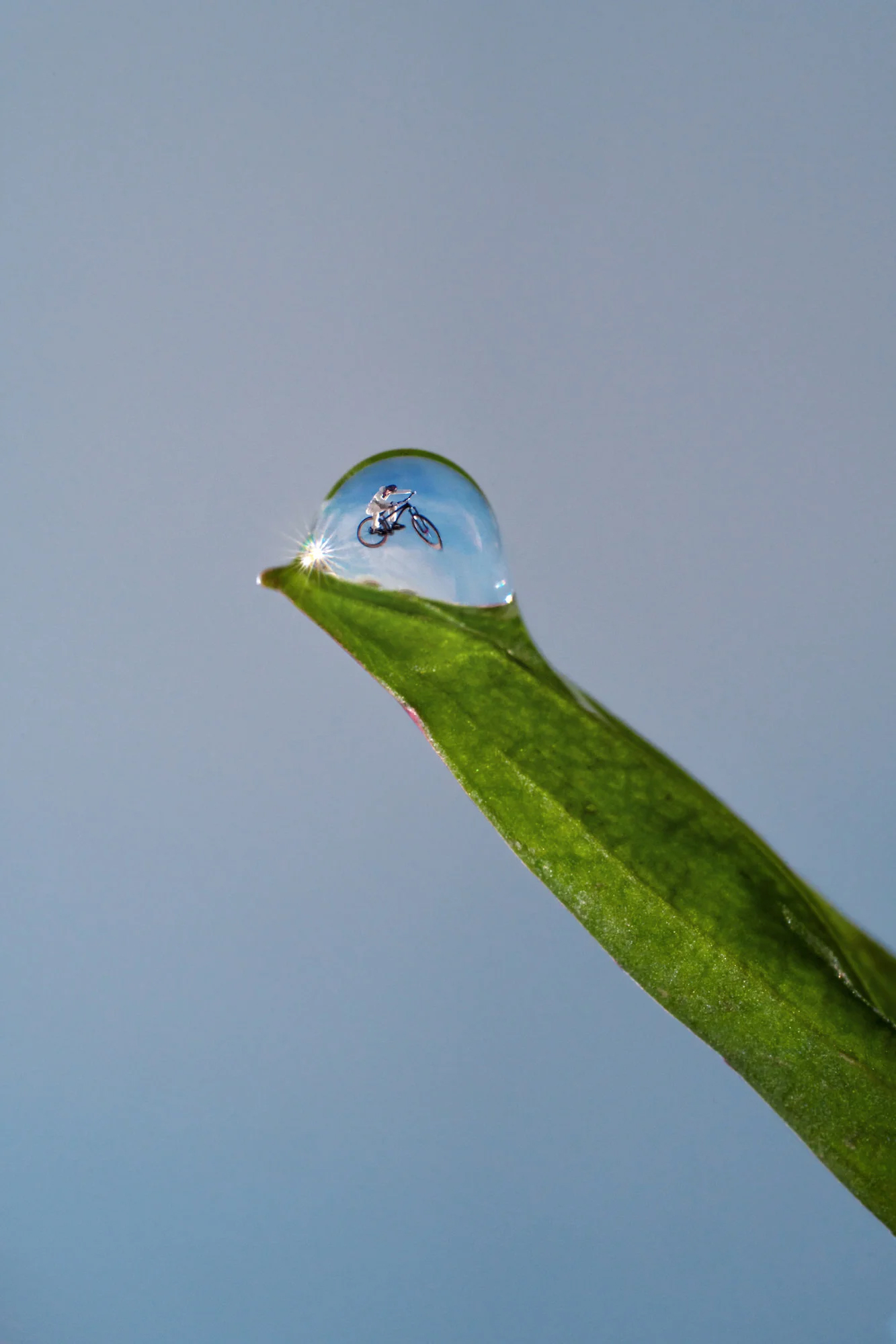 A photograph by Volodya Voronin of a BMX rider framed inside a water droplet on a blade of grass
