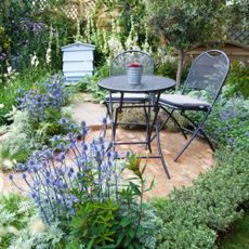 Patio with plants that repel ticks