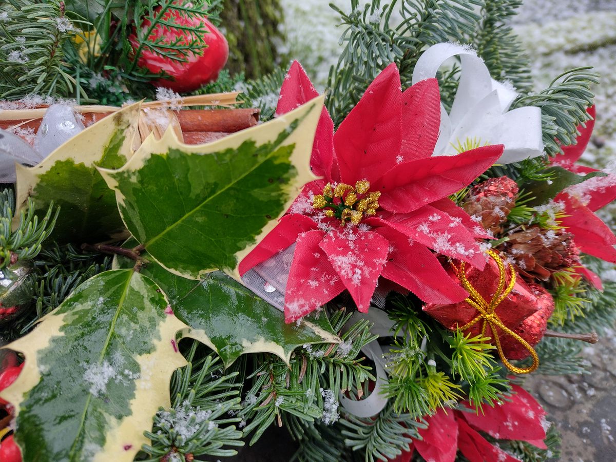 Moto G9 Power camera sample