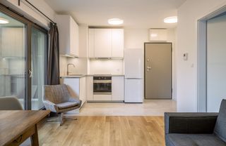 Interior of a modern micro apartment annexe with living room and kitchenette