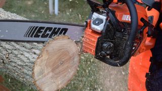 An ECHO chainsaw being used to cut a tree trunk