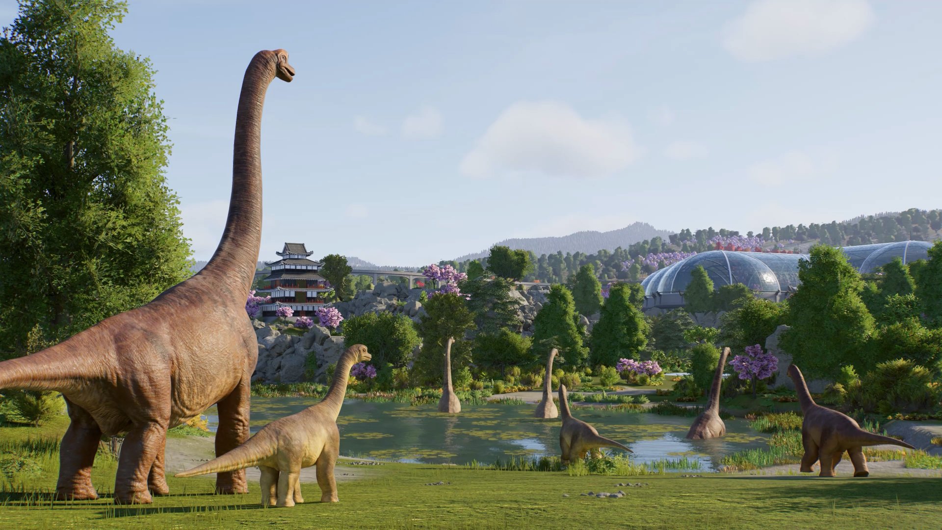 Jurassic World Evolution 3 screenshot of a herd of adult and baby Brachiosaurus