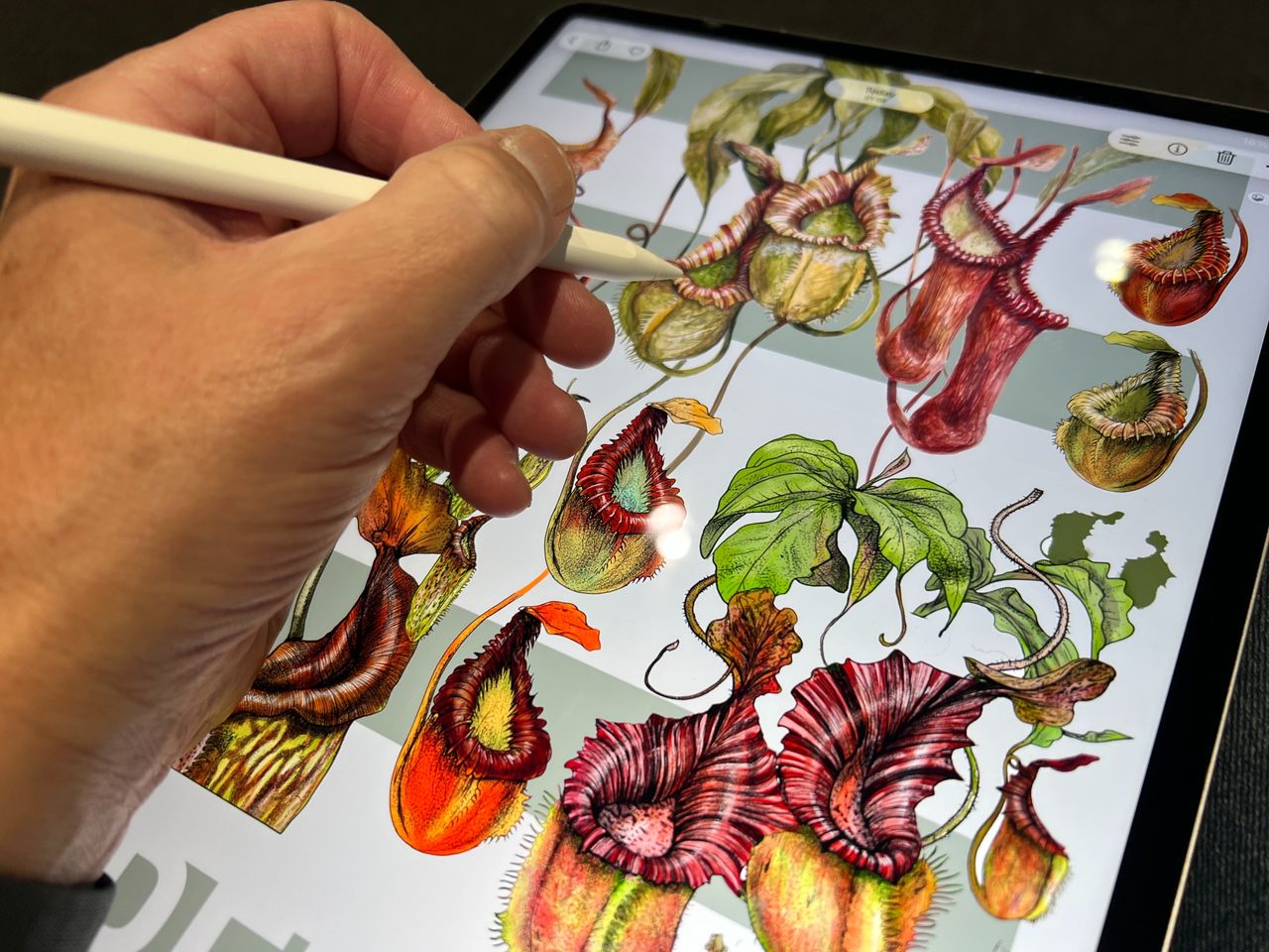 iPad Air images