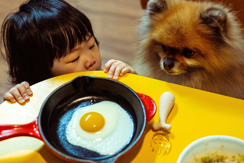 A child and a fluffy dog gaze at a sunny-side-up egg in a skillet on a yellow table