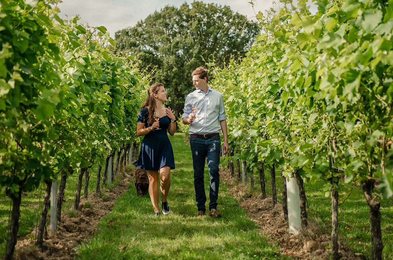 Gusbourne walking through vineyard