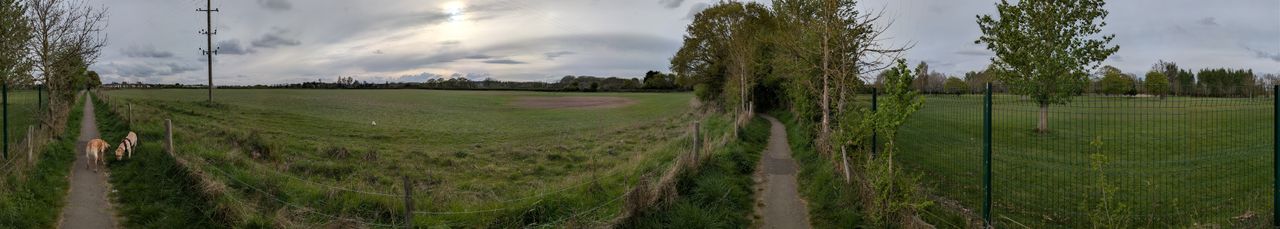 google pixel 9a vs google pixel 8a photo shootout - pixel 9a panorama
