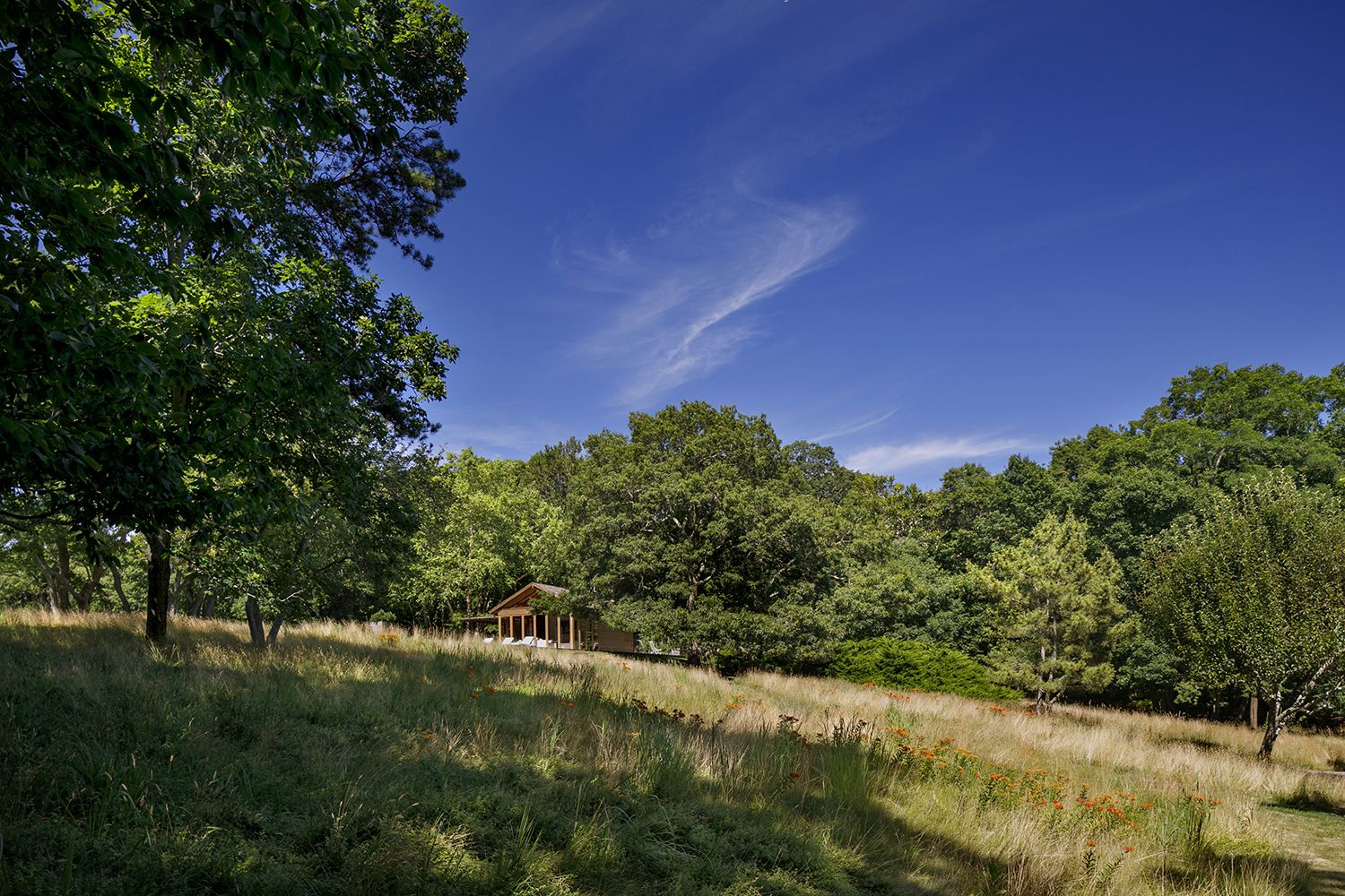 summerhouse ideas with a wooden structure in a meadow
