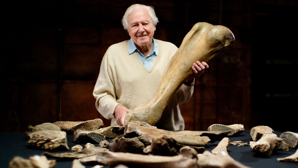 Attenborough And The Mammoth Graveyard