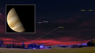 Venus is shown above the horizon in a simulated pre-dawn hours of June 1, with the locations of Neptune and Saturn shown to the upper right. a close up picture of Venus's half-lit disk is shown to the left hand side of the screen.