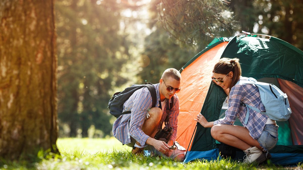 Young man and woman pitching tent in woodland in summer