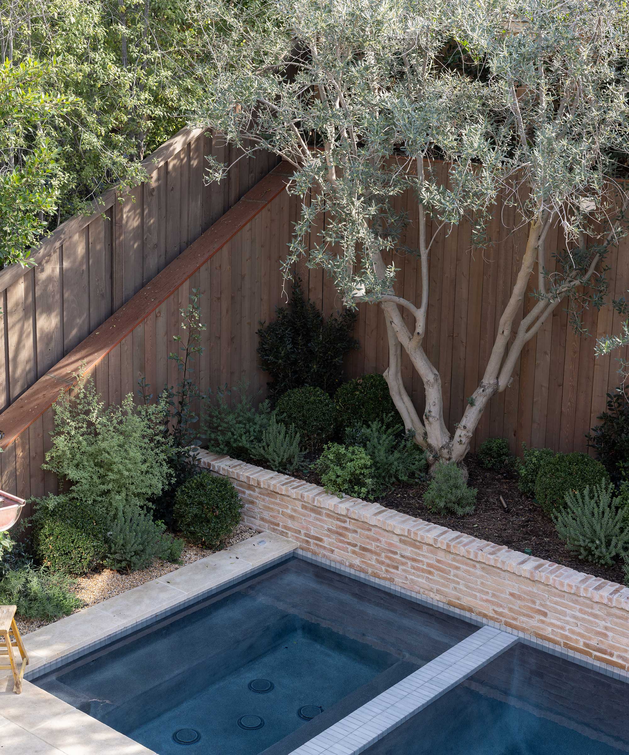 'Garden Studio Home' project by Garden Studio Design with olive tree and pool
