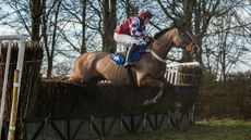 Club Members Conditions Race-Image no.6725-&ldquo;Mr Love&rdquo; owned by Nic & Ella Pearce, trained by Nic Pearce & ridden by M Dodd