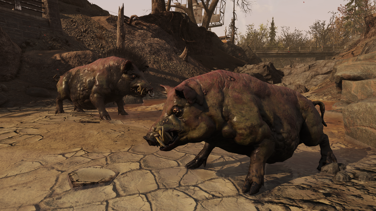 Screenshots from the Burning Springs update in Fallout 76