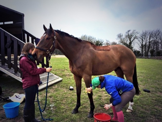 Hilly after cross-country schooling