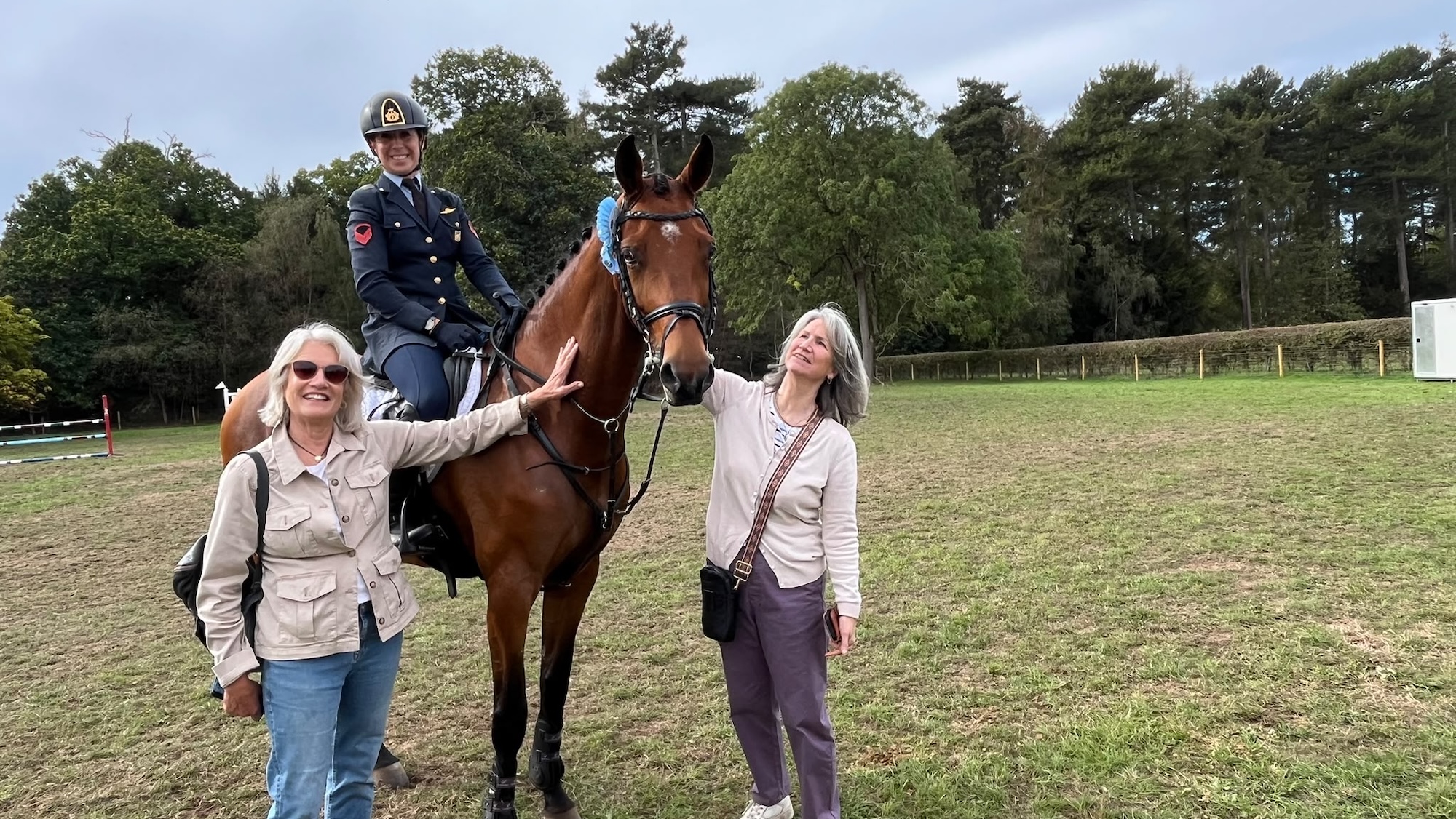 Image shows Borough Tuppence, a bay mare, in a field at Osberton