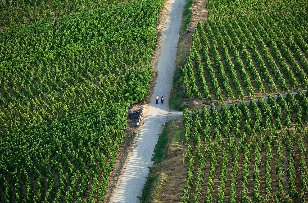 C&ocirc;te-R&ocirc;tie Gallet