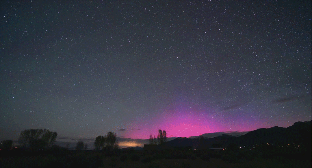 A bright beam of light cuts through a starry night sky, illuminated by a soft purple glow at the horizon and silhouetted trees