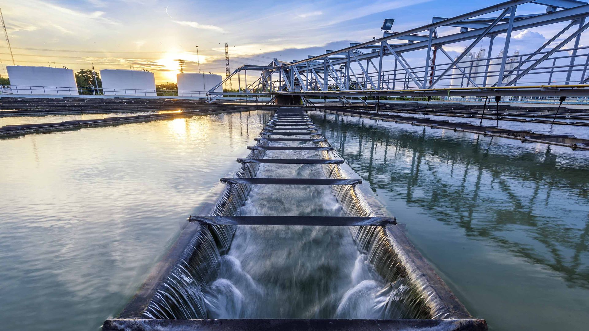 Environmental Steward: Xylem