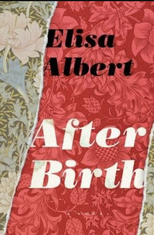 After Birth by Elisa Albert book cover