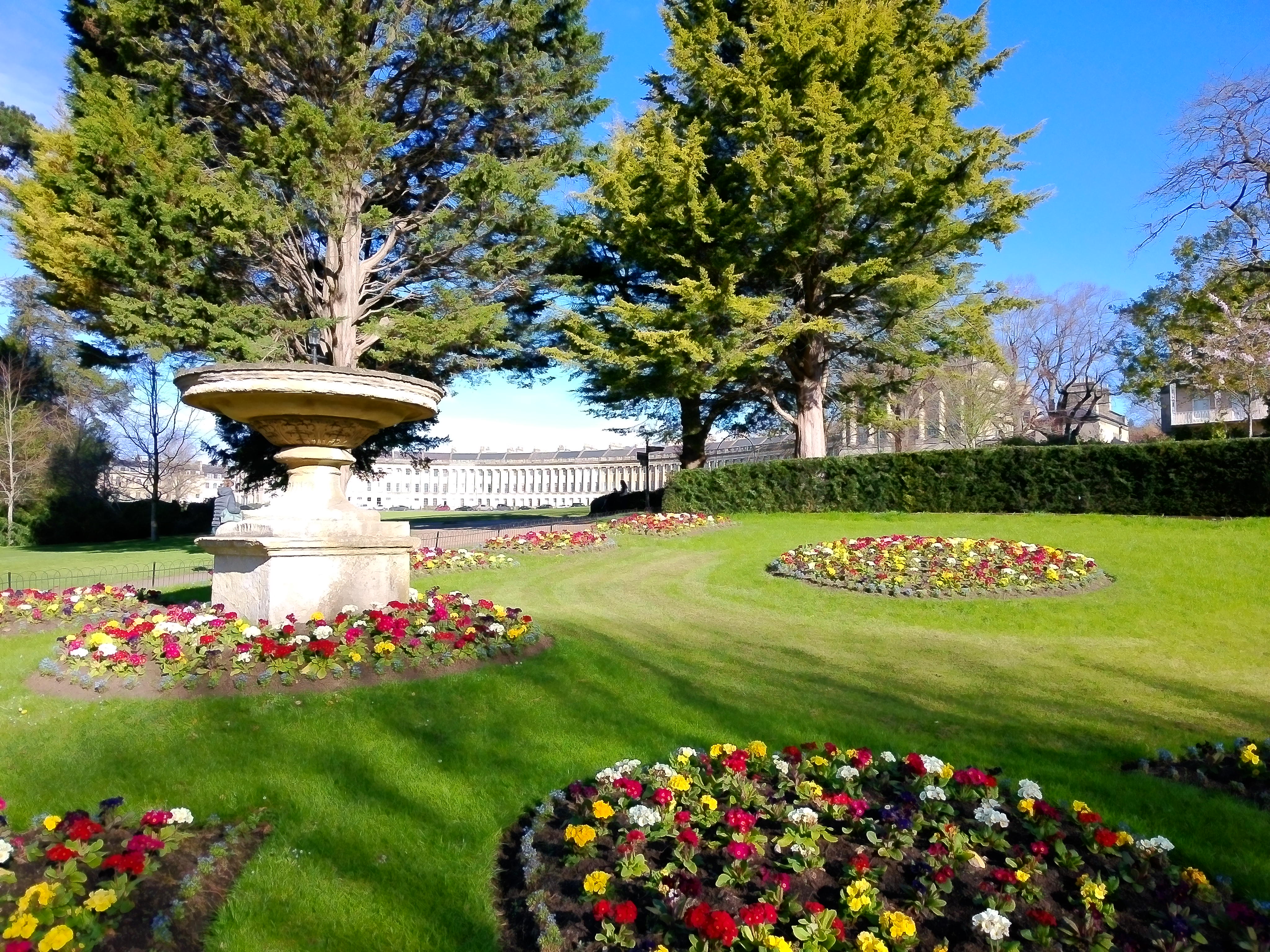 Yashica FX-D S300 sample shot