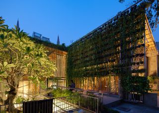 Courtyard elevation and green wall at RAW architecture's live/work space