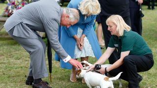King Charles most memorable moments - Prince Charles and Camilla meeting two jack russell puppies