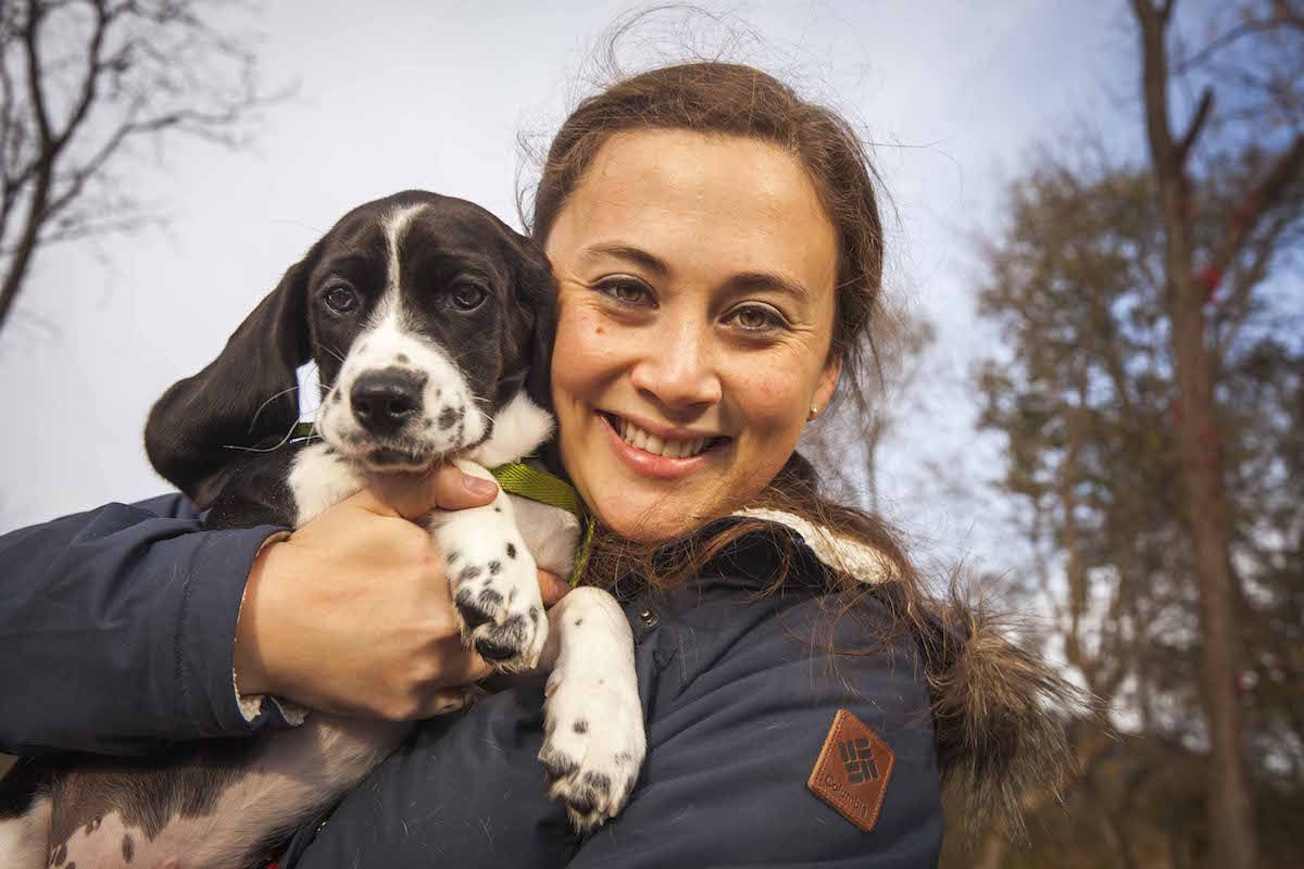 IVF Puppies