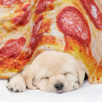 Pizza Blanket for Adult Kids&nbsp;| Pepperoni | 60-inch&nbsp;| $28.99 $15.99 at Amazon (save $13)