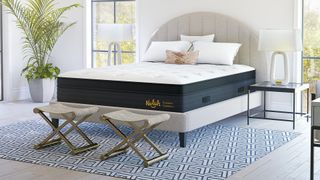 The Nolah Evolution Comfort+ Mattress on a bed frame in a bedroom