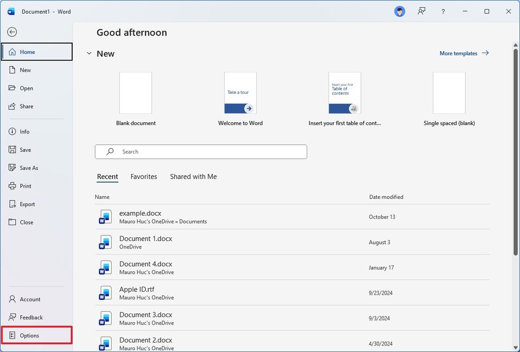 Microsoft Word Options