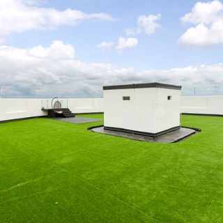 roof terrace with grass flooring