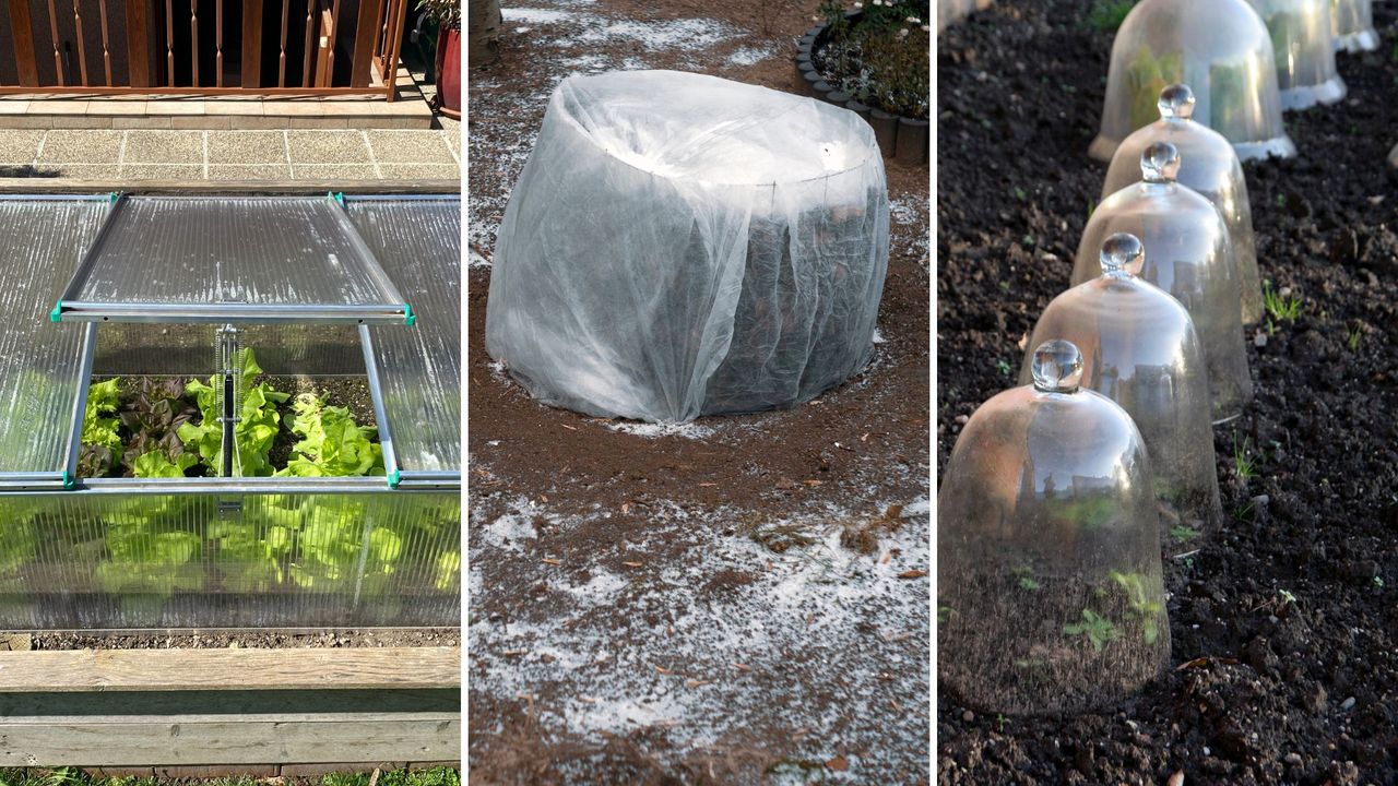 composite of three different ways to overwinter plants in the garden