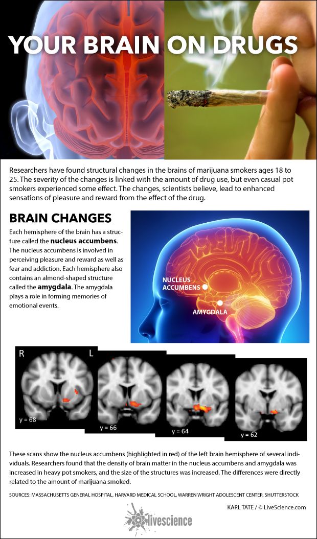 Areas of the brain affected by marijuana smoking.