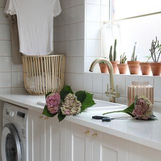 Flower cuttings on white kitchen counter, white cabinets