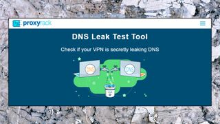 En skärmdump på ett DNS-test med IPVanish