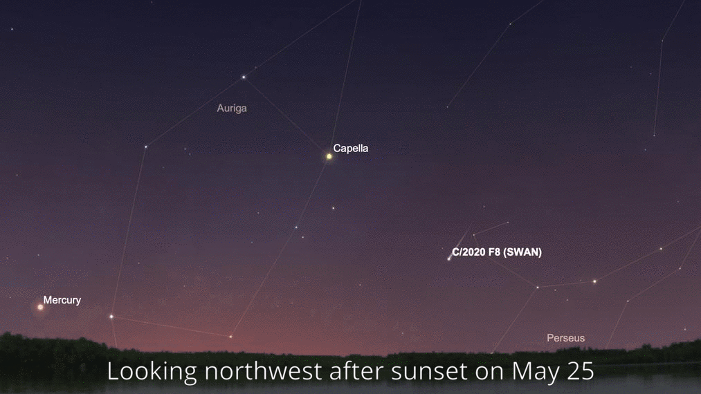This animation shows the position of Comet C/2020 F8 SWAN in the evening sky from May 25 to May 31, looking northwest about one hour after sunset.