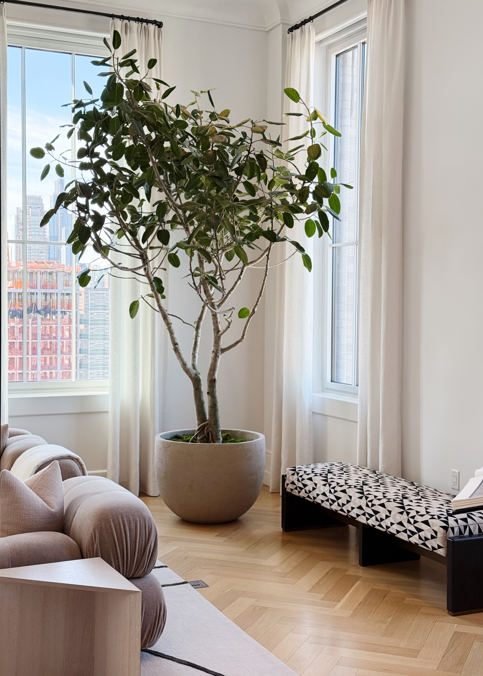 A tall indoor tree with a mood moss soil cover beside a patterned bench and a dusty rose sofa