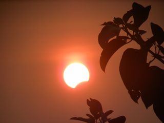 March 2016 Solar Eclipse from India (2)