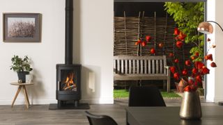 freestanding gas stove in living room