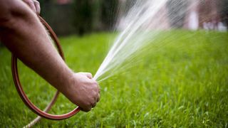 A man watering the grass with a hose