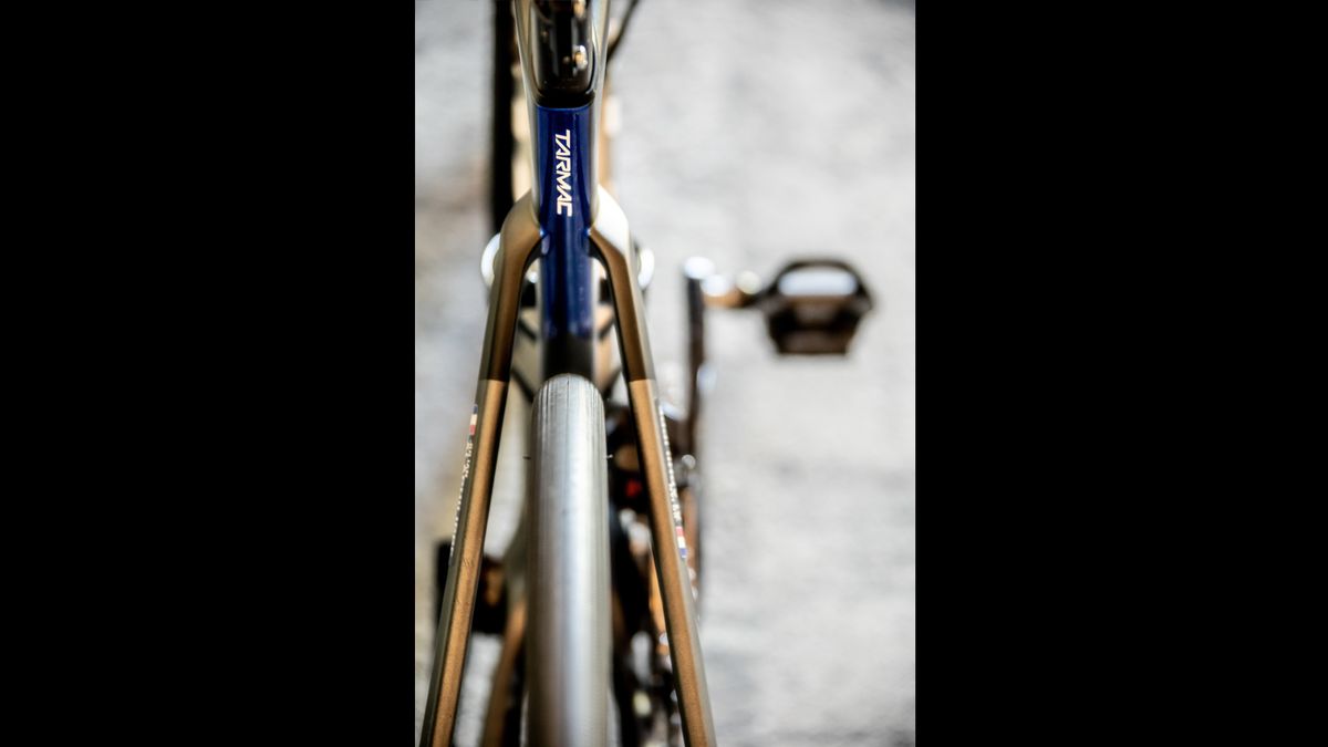 Julian Alaphilippe's Specialized Tarmac SL7
